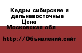 Кедры сибирские и дальневосточные › Цена ­ 1 000 - Московская обл.  »    